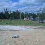 Joplin Little League 2