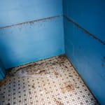 NELL Bathroom Flood Line-239429384-2025