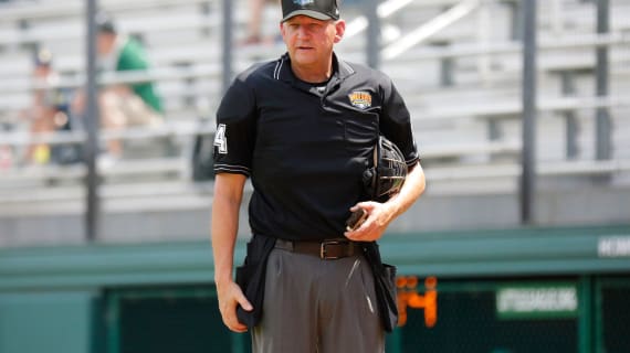 Umpire Brian Rounds
