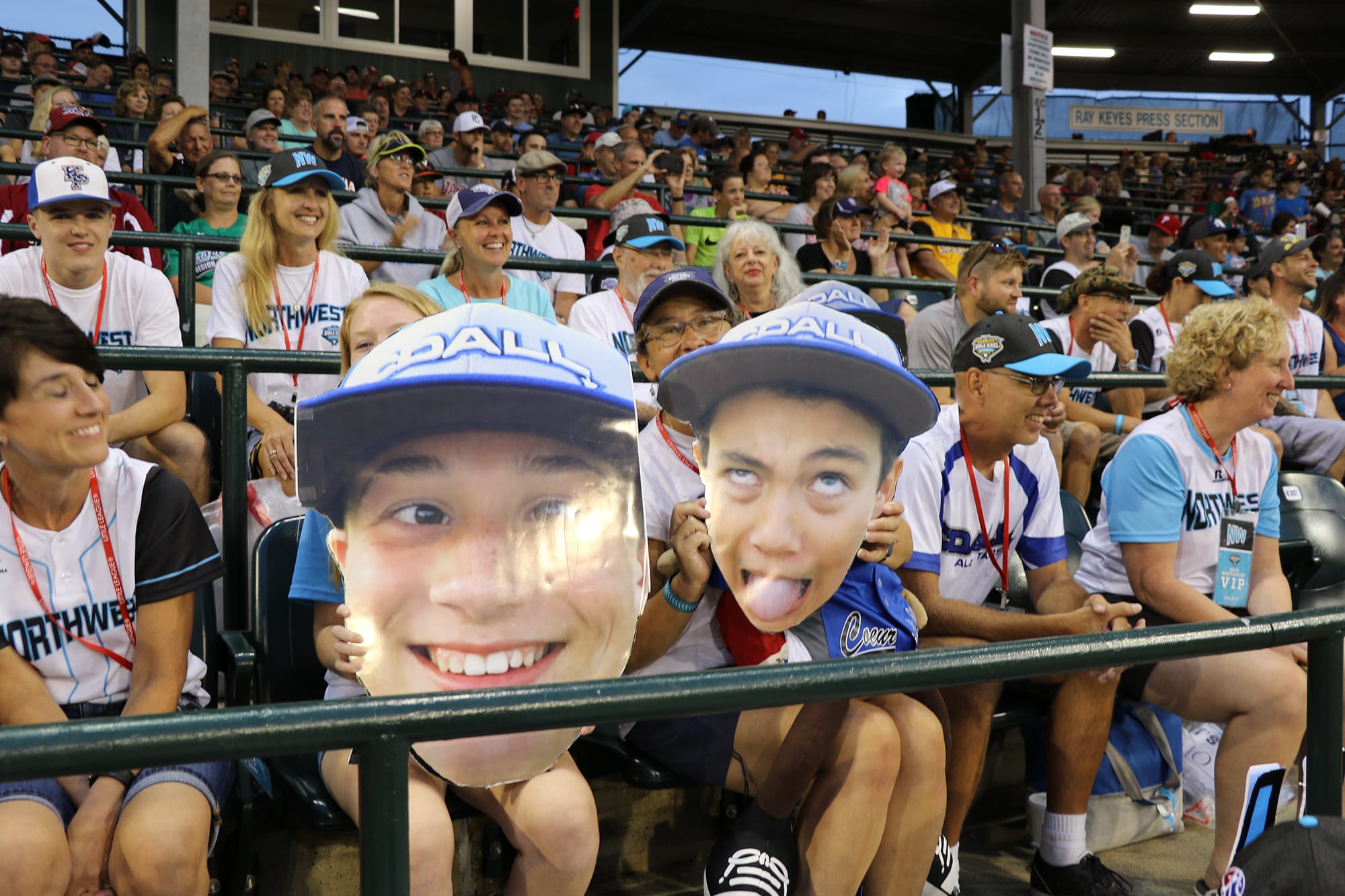 fans cheering in stands