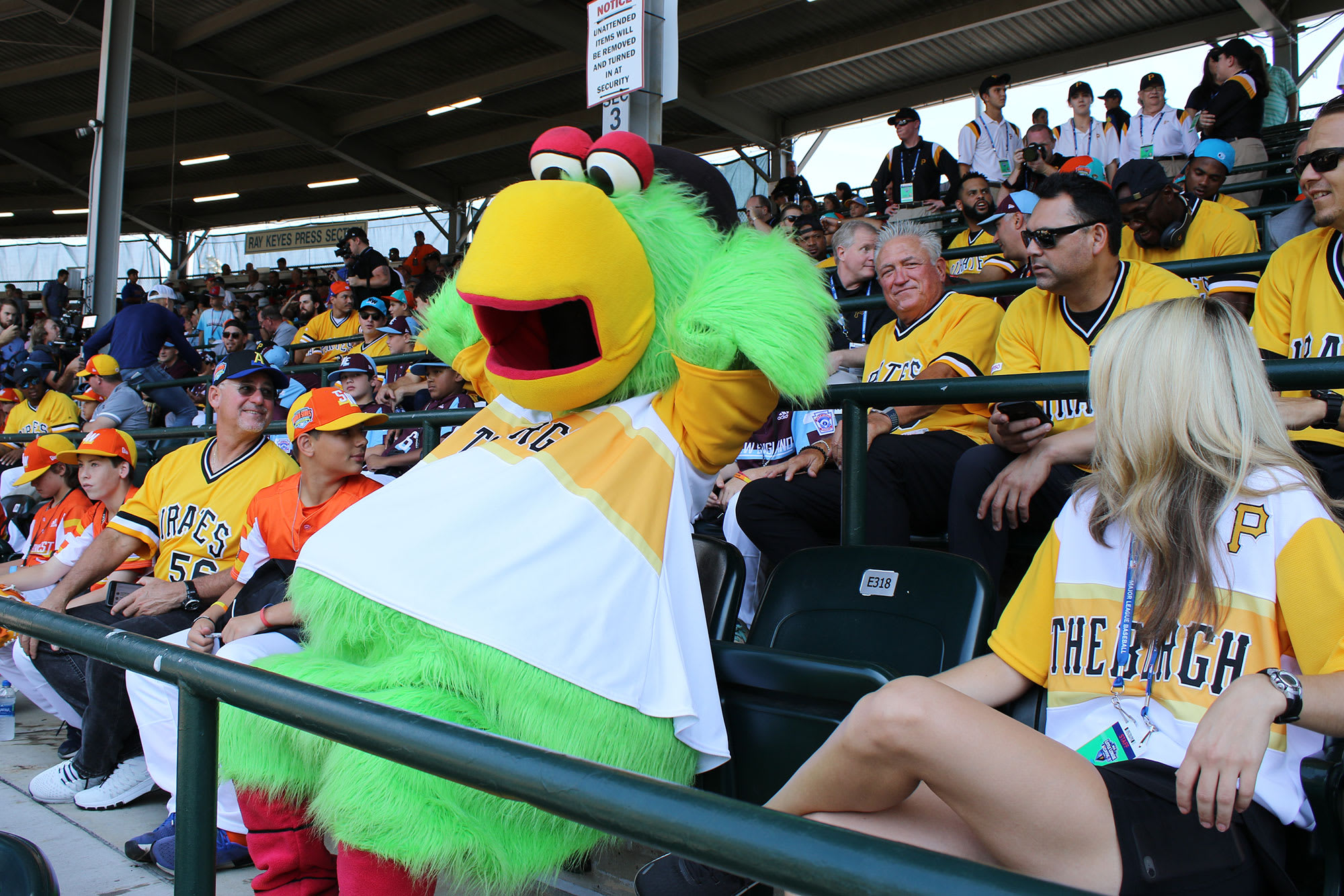 Pirate's mascot Parrot sitting in stadium