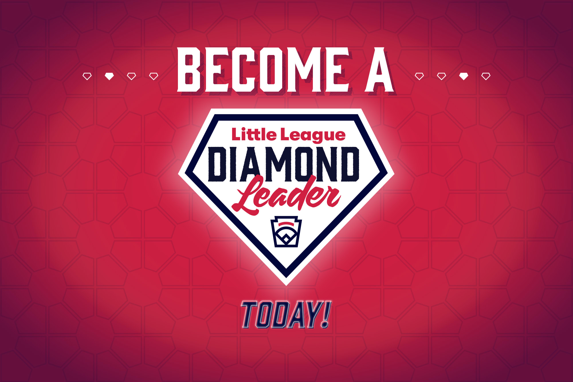 Become A Diamond Leader