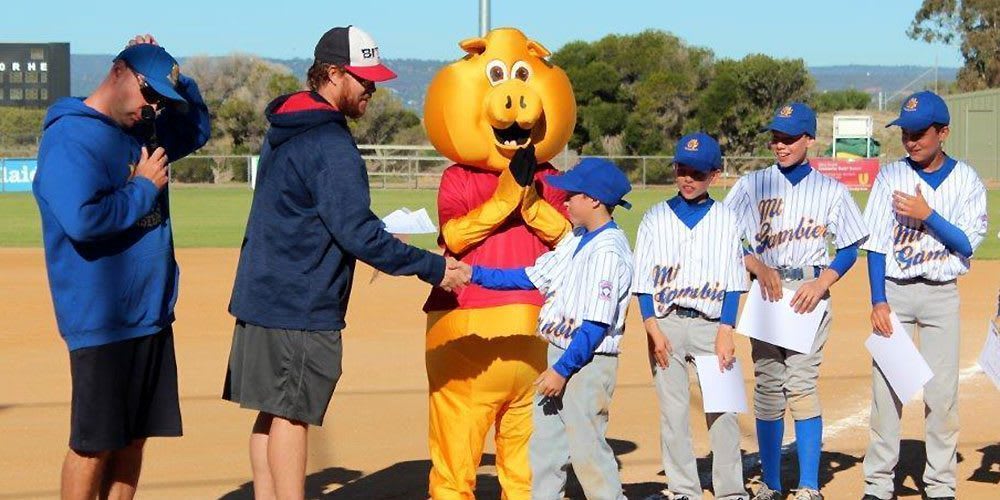 For Volunteer Umpires, Little League World Series in the Pinnacle