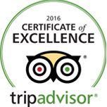 trip advisor logo