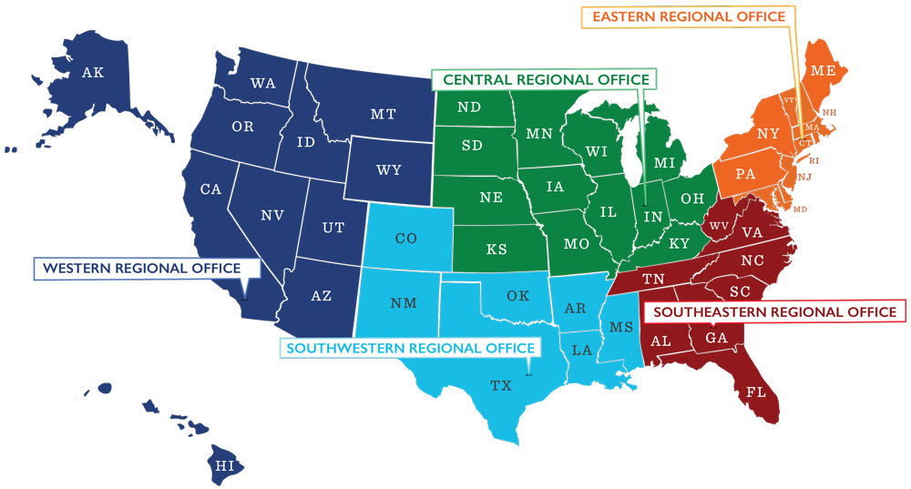 Exploring the Various Divisions of Little League® - Little League