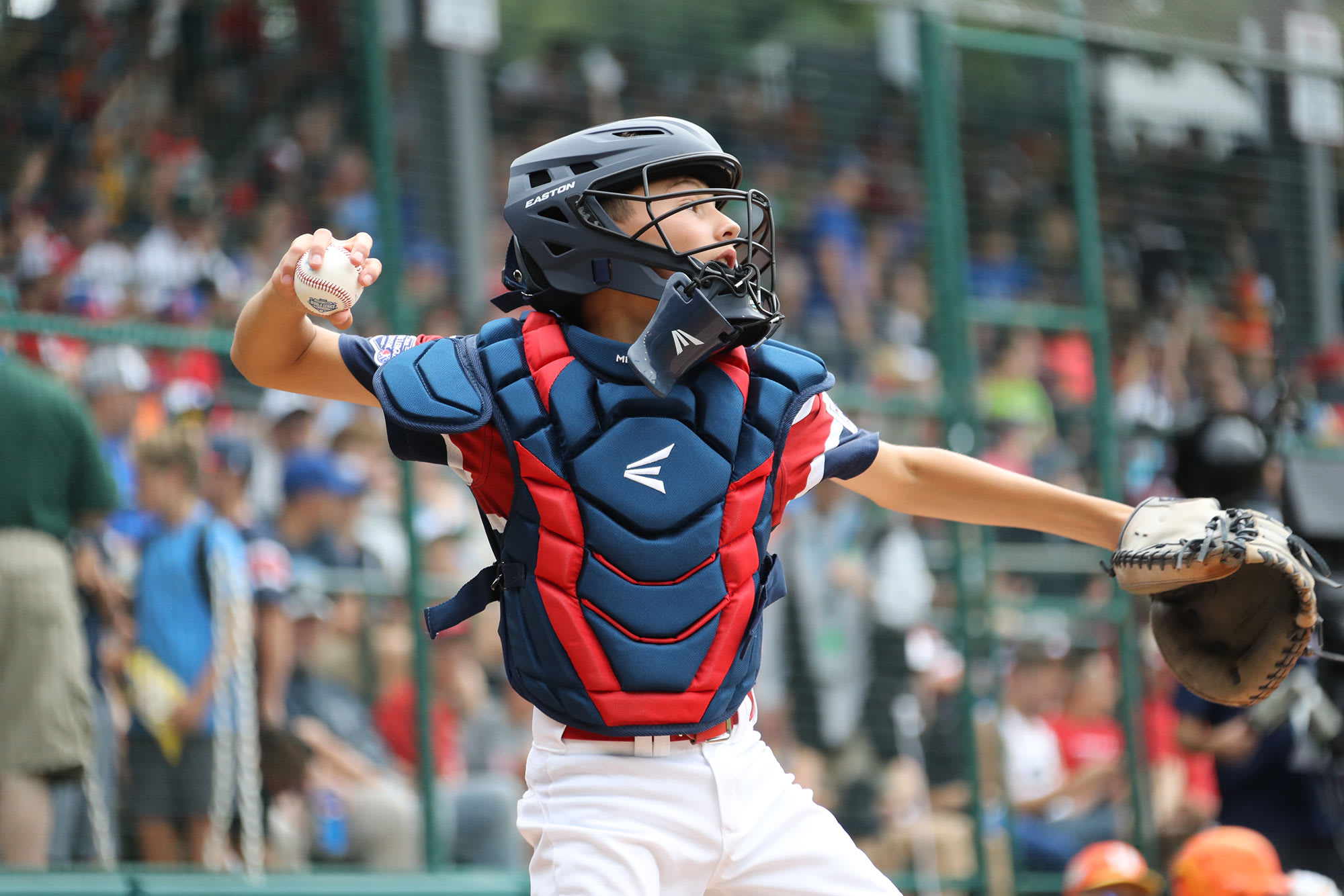 mid-atlantic catcher