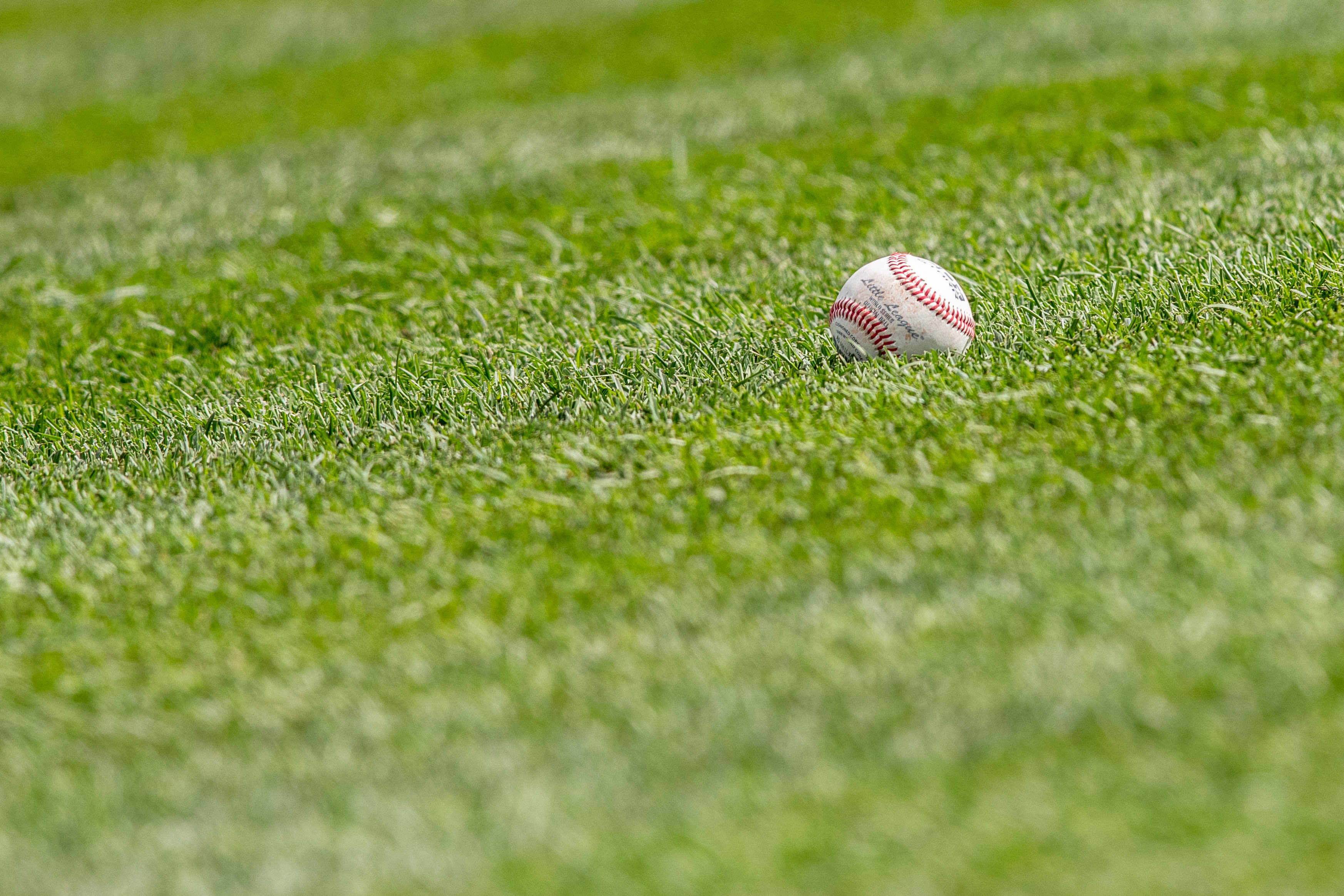 Baseball laying in the grass