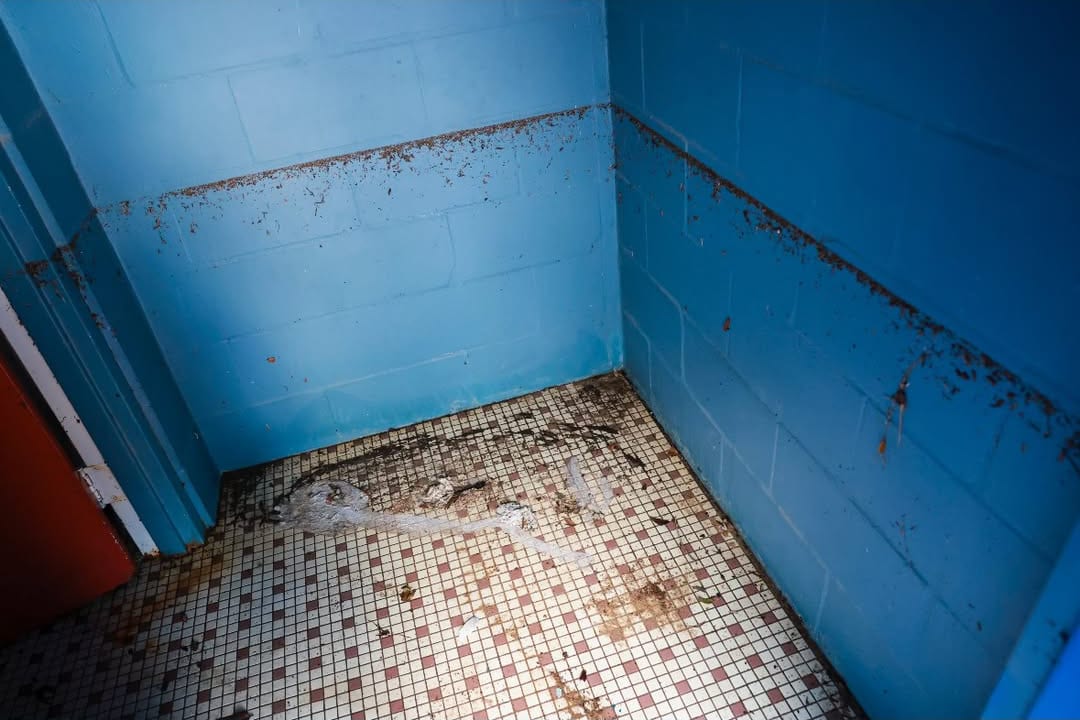 NELL Bathroom Flood Line-239429384-2025