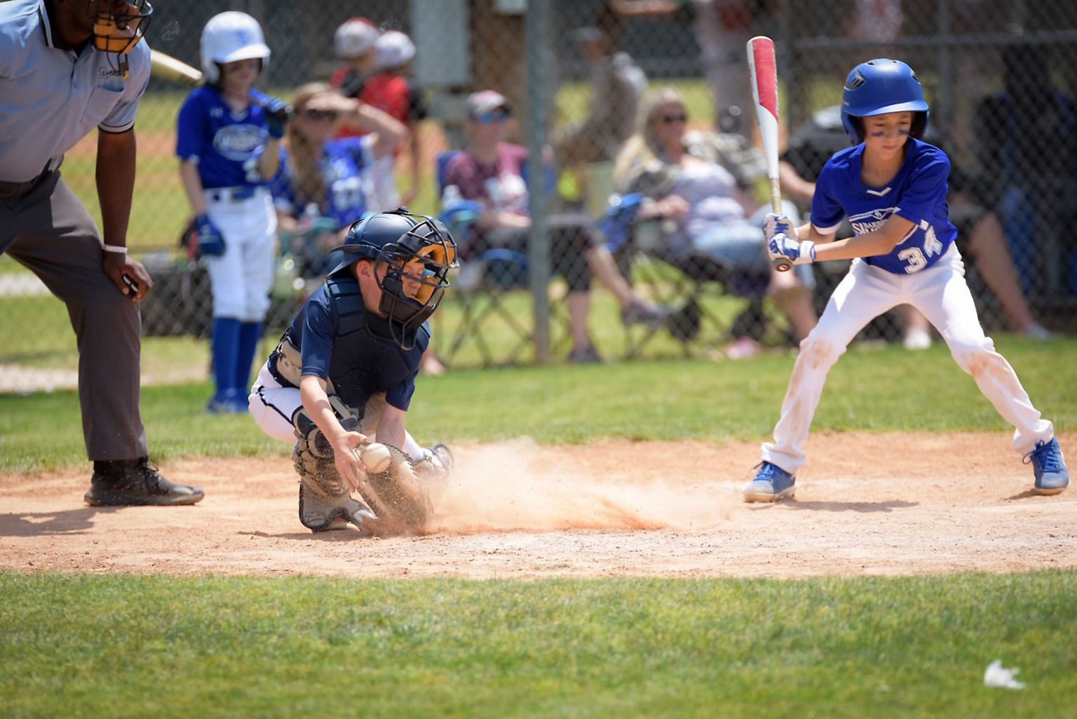 catcher catching bounced ball