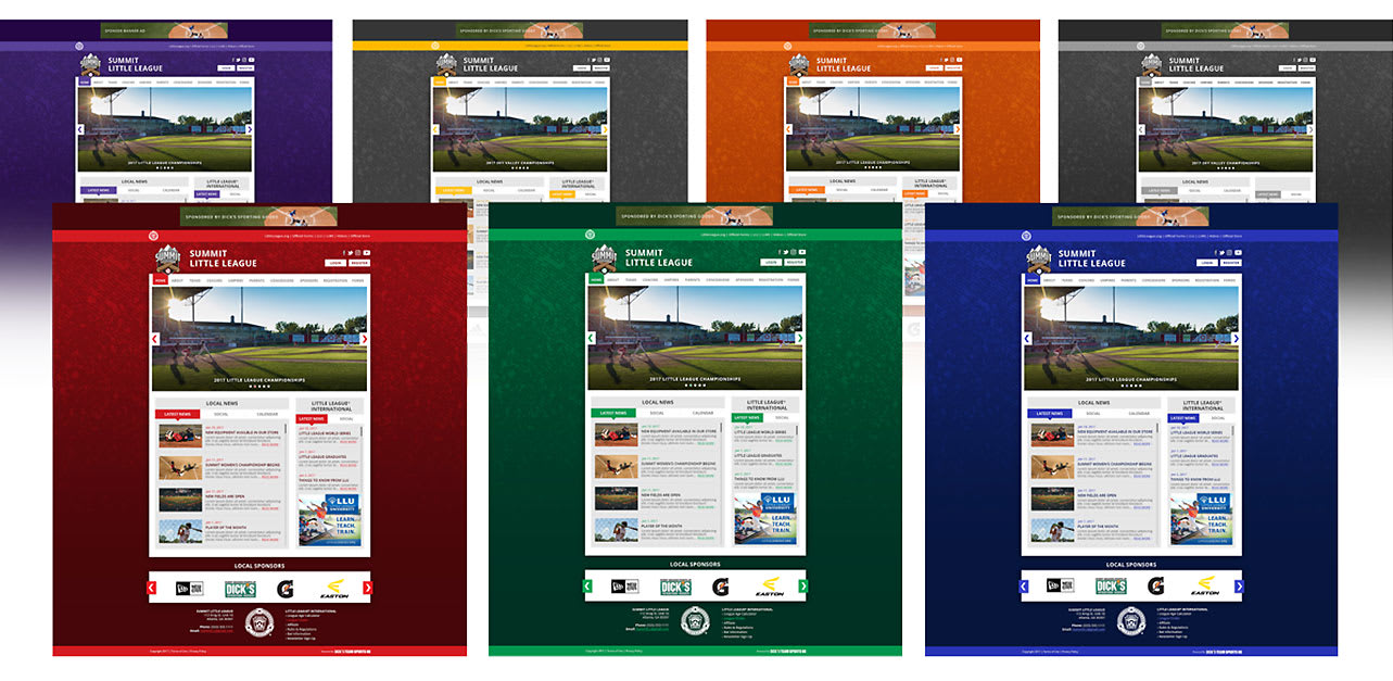 dsg-custom-websites-graphic