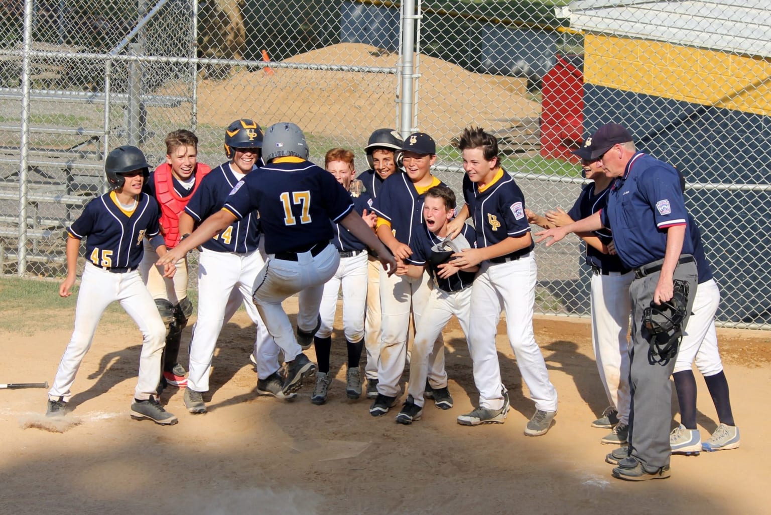 team-celebrating-home run