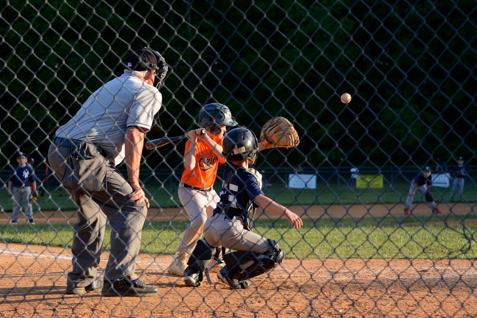 umpire players behind fence