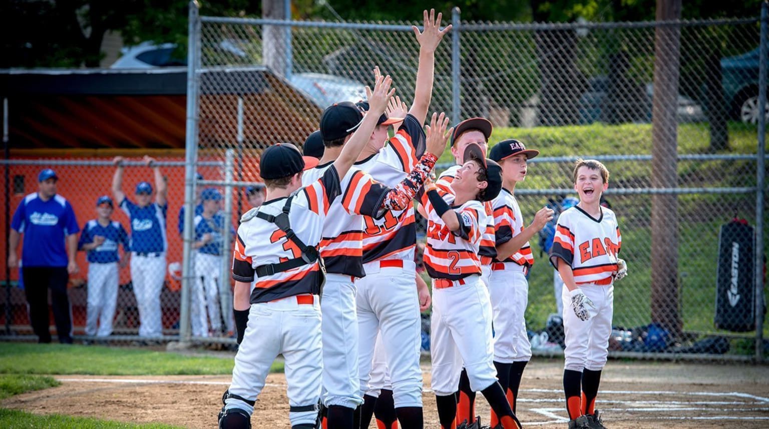 Youth Baseball Team Photo