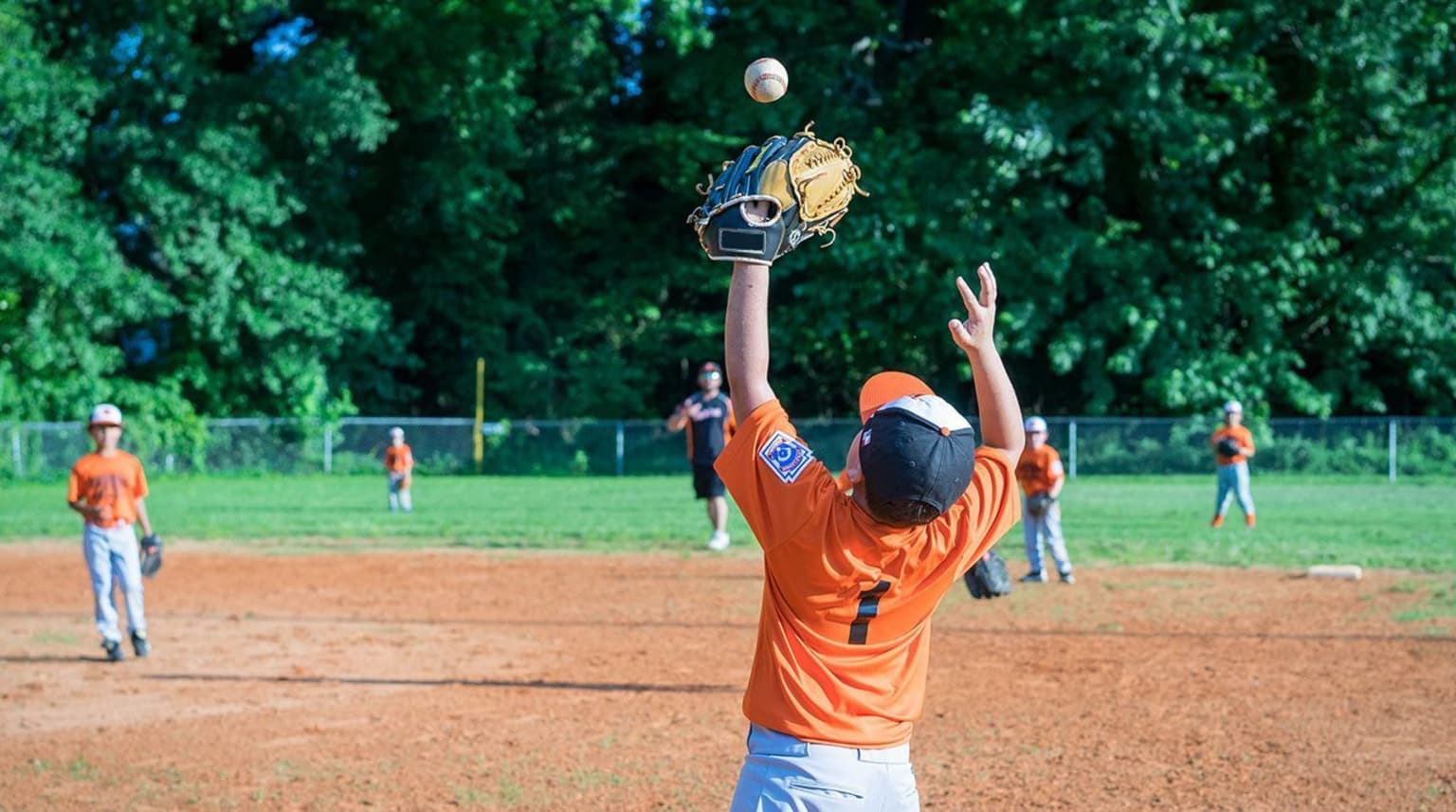 Backyard Reaction Drill Little League