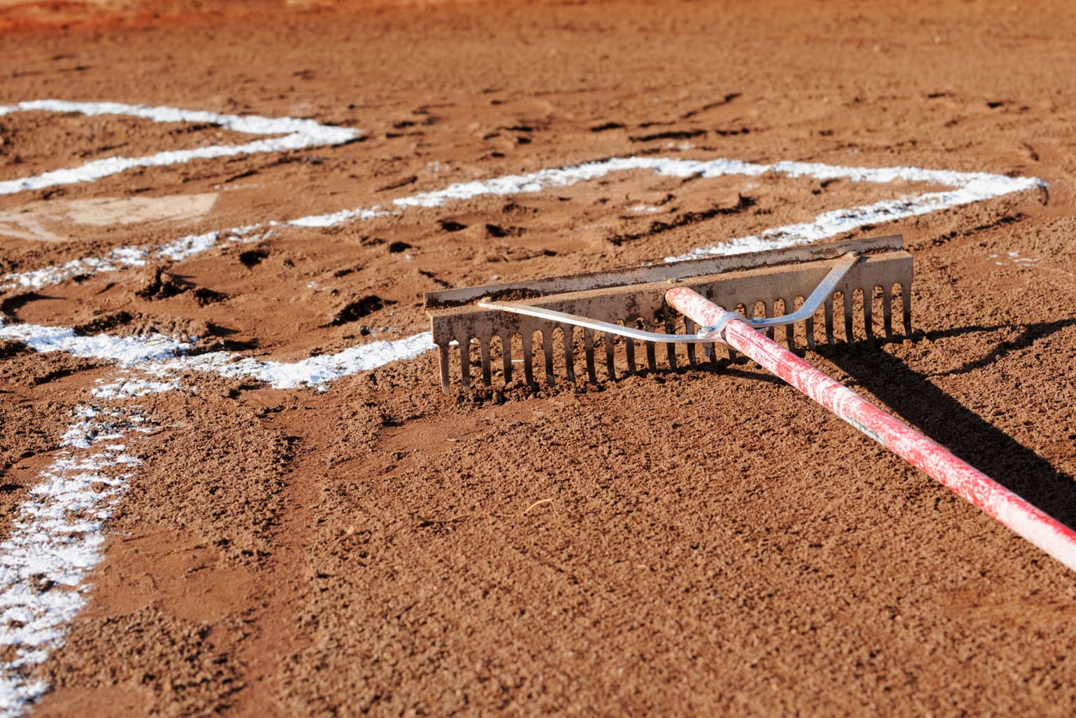 rake-local-field