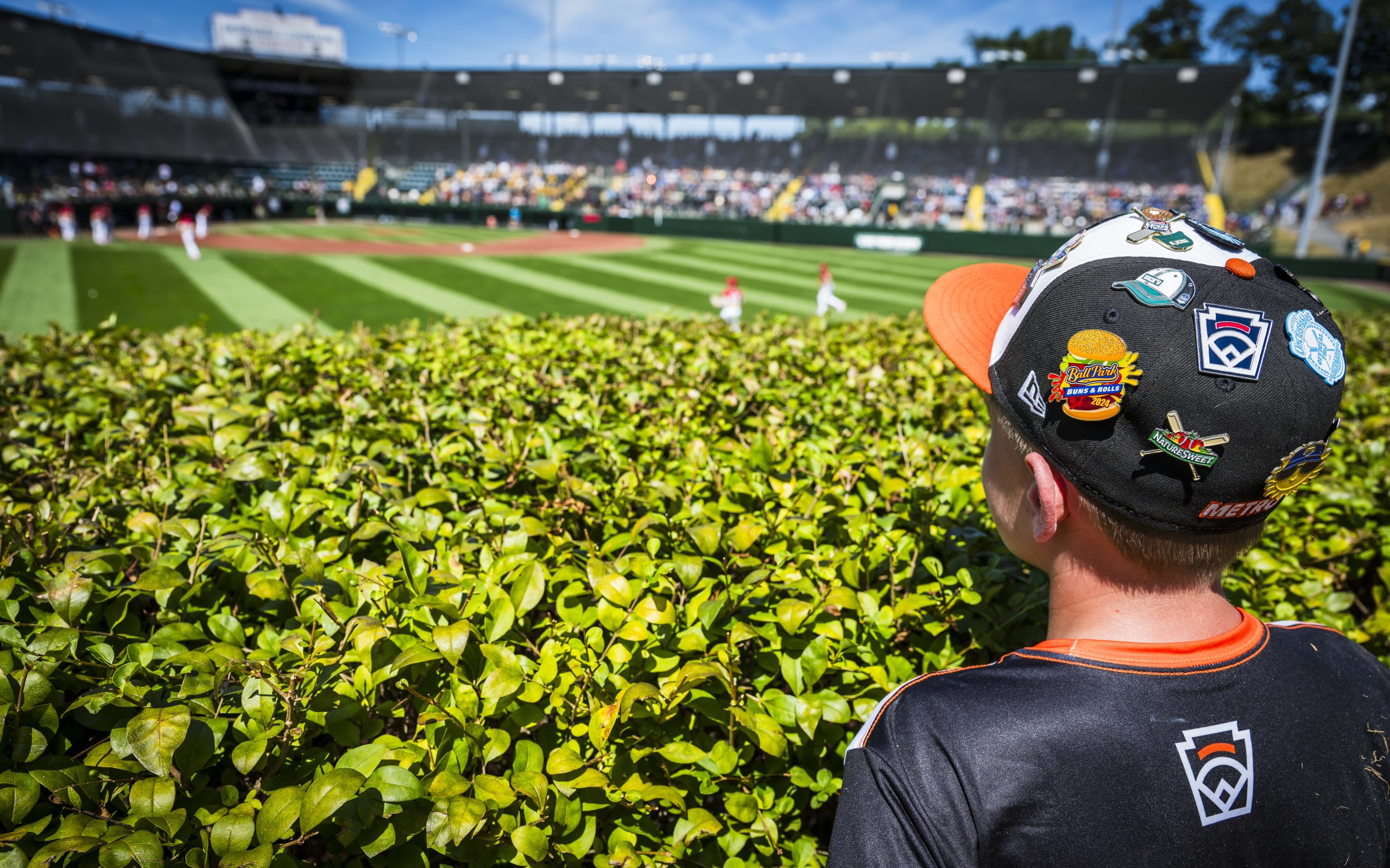Kid watching the 2026 LLBWS