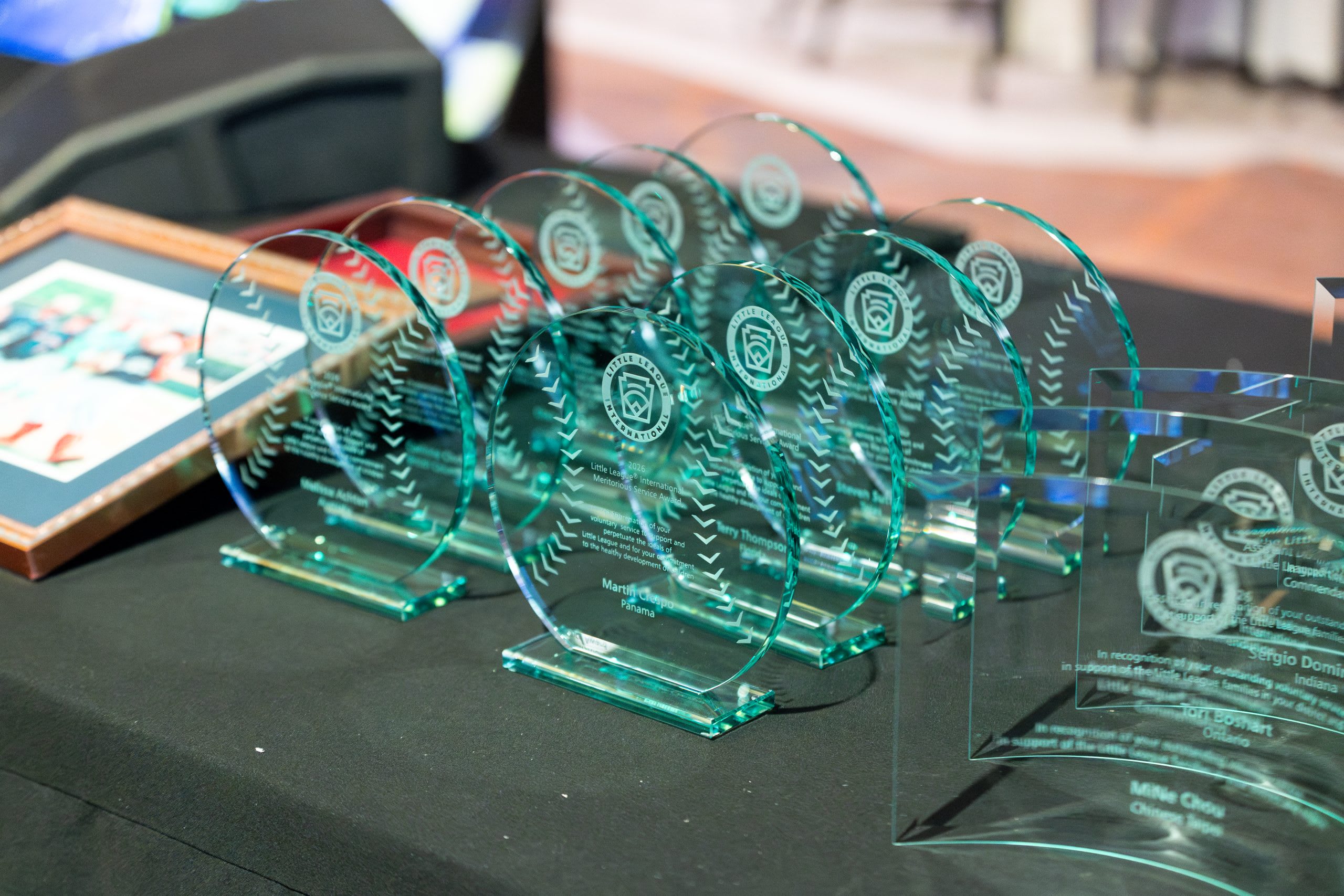 2026 Congress Volunteer Awards