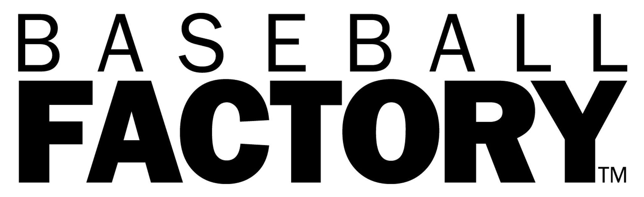 Baseball Factory Camp