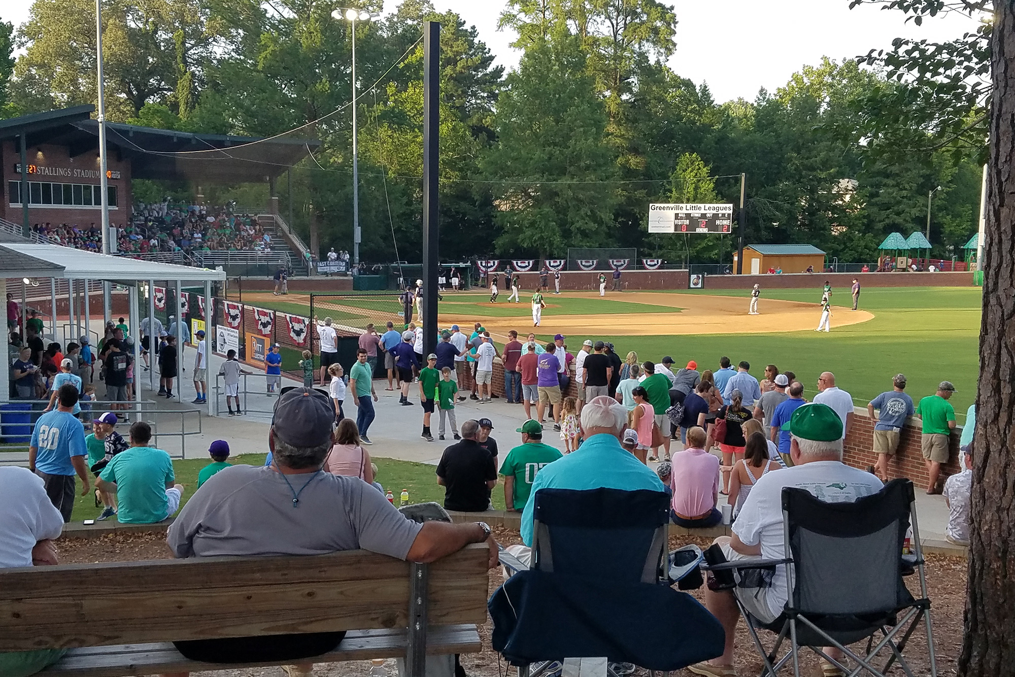 Little League World Series  Greenville's Southeast baseball team