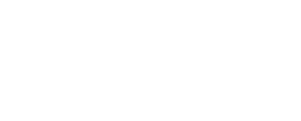 dsg white logo