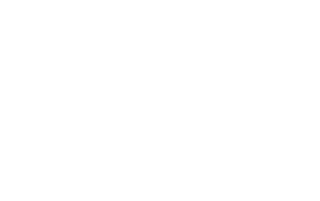 DICK'S Sporting Goods white logo sponsor