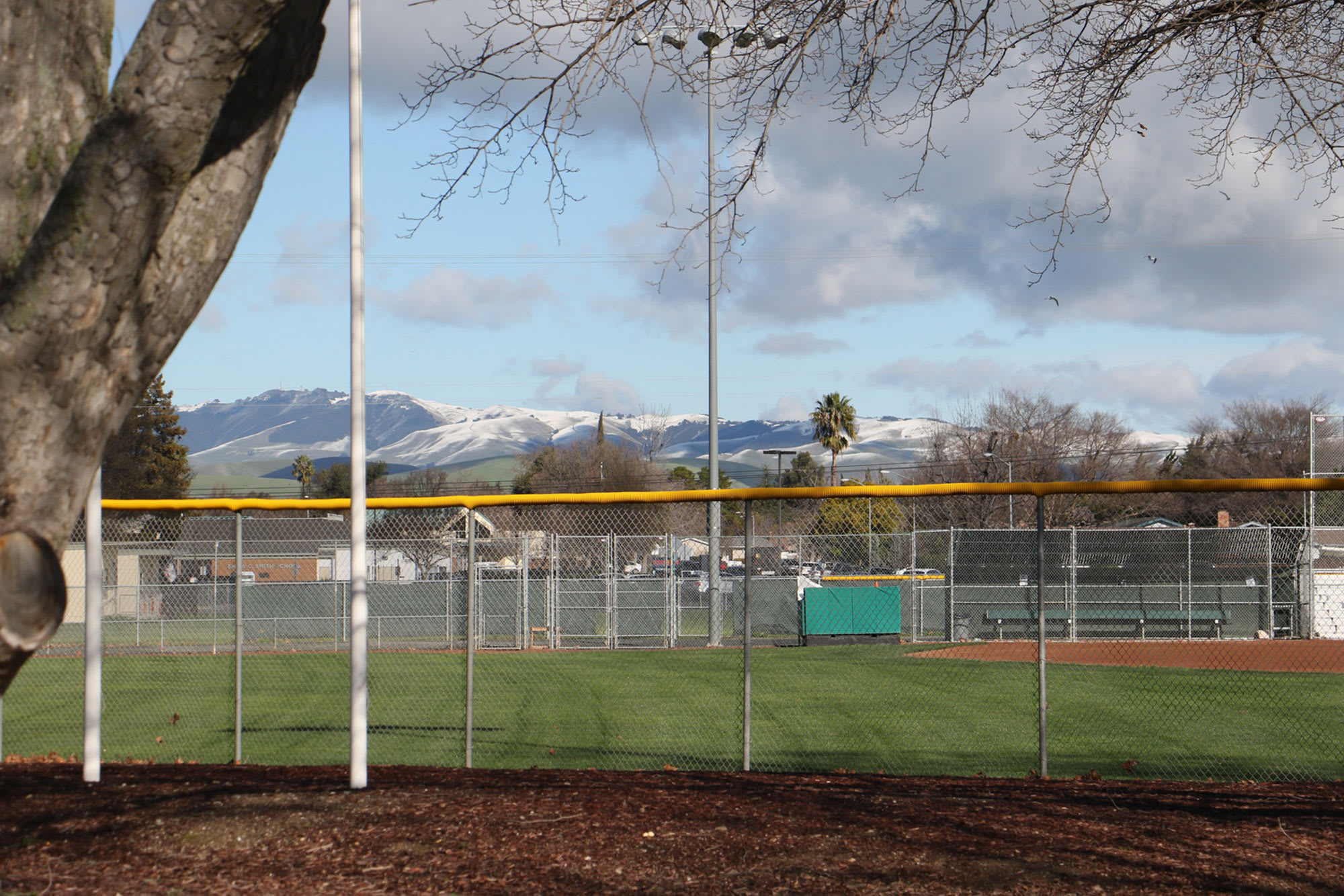 local-league-field