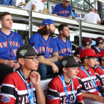 mets players and teams sitting in stands
