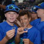 fans at mlb classic