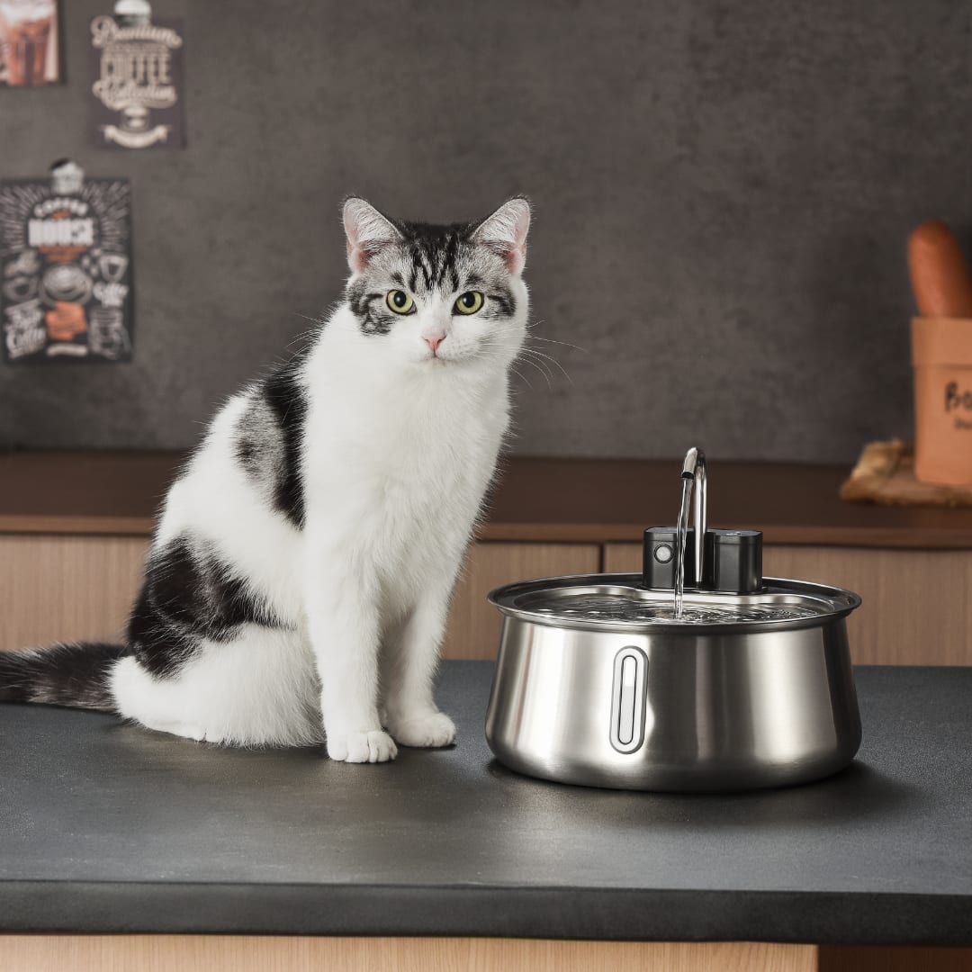 kitty_spout4