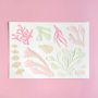 Collage inspired by the plants and flowers that you find under the sea in soft pastel colours