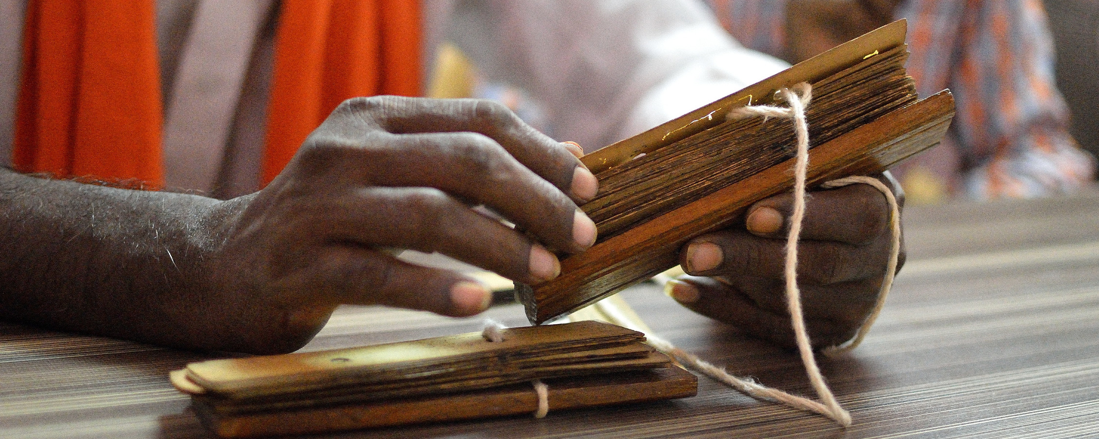 indian-palm-leaf-reading-institute