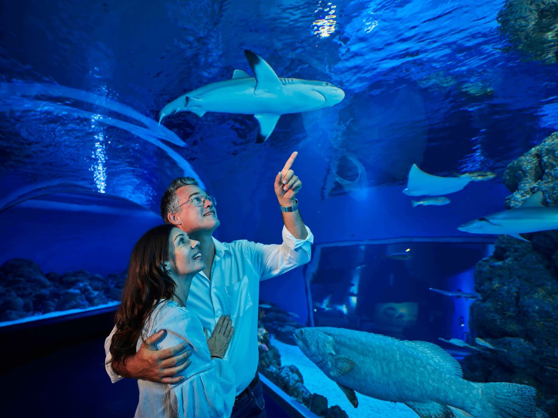 トワイライト水族館ツアー