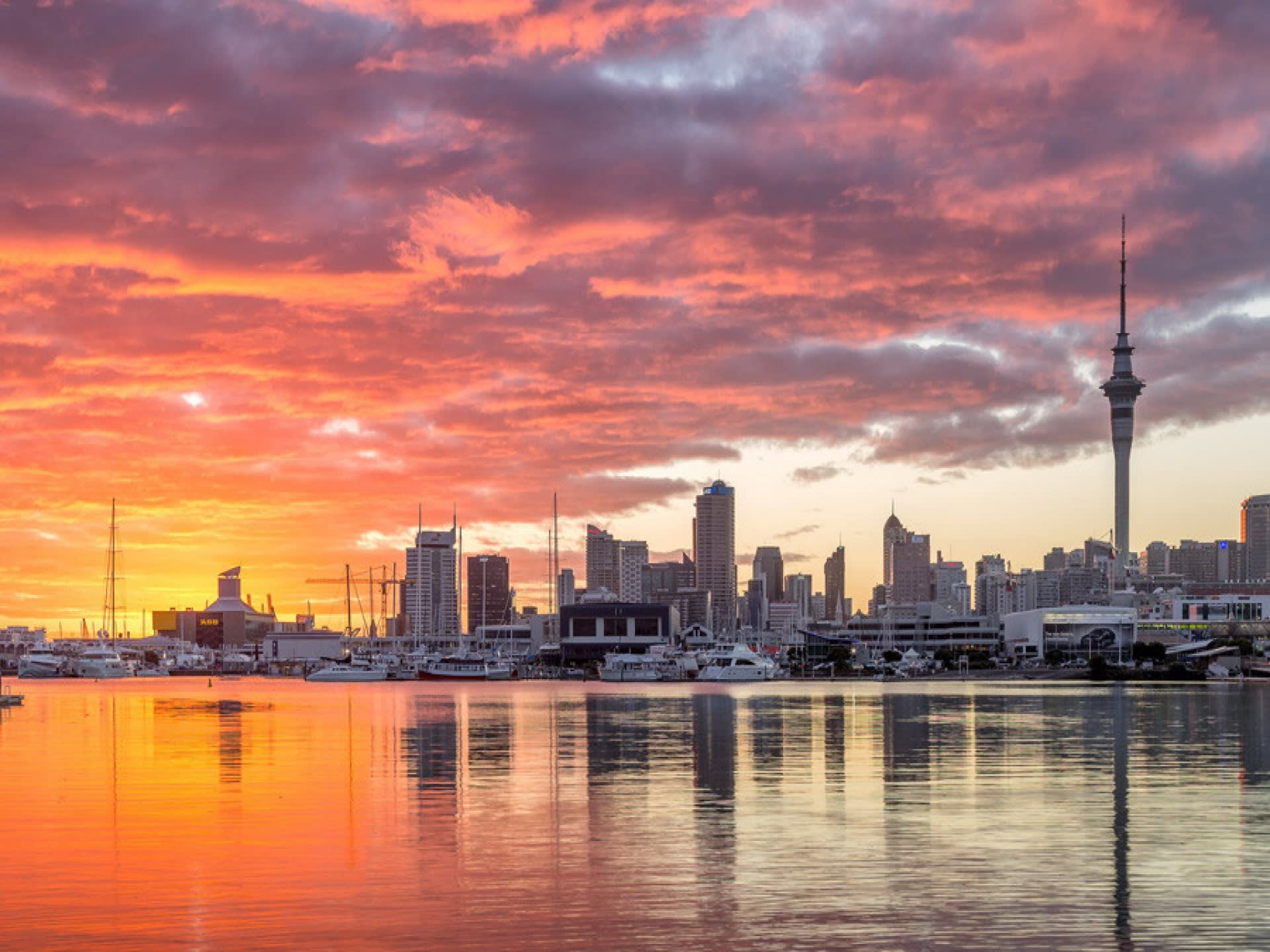 Auckland City Highlights Private Tour