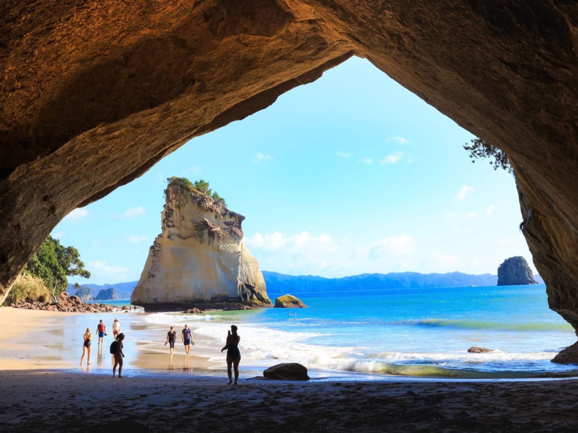 Coromandel Beach, Caves and Forest Private Tour