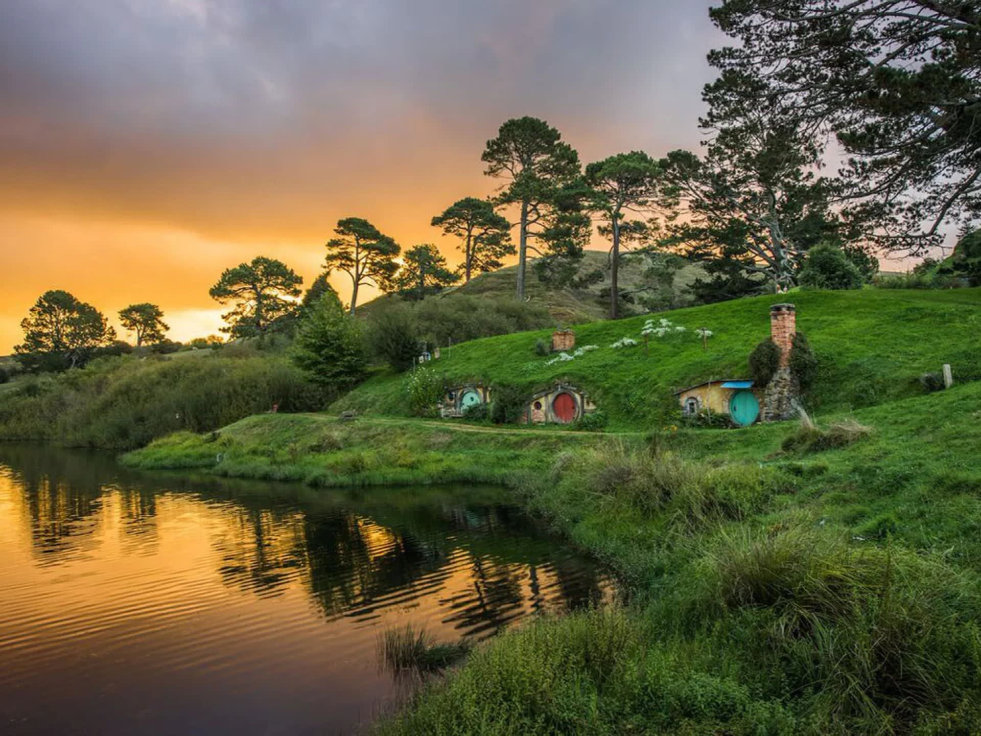 Hobbiton Movie Set & Waitomo Tour