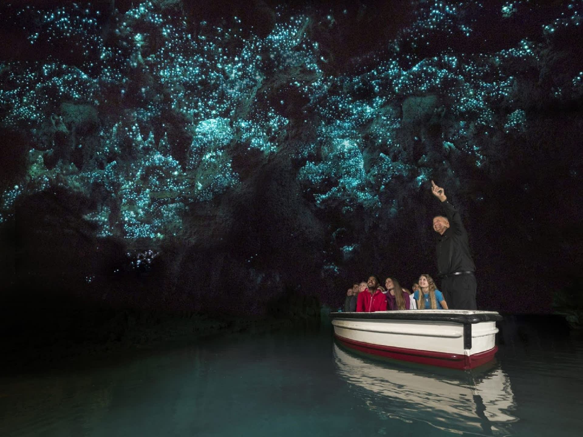 Waitomo Glowworm Caves, Zealong Tea & Kiwi Bird House