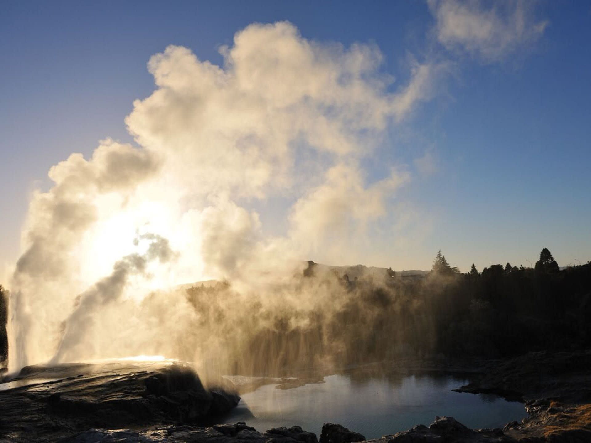 Te Puia & Skyline Rotorua