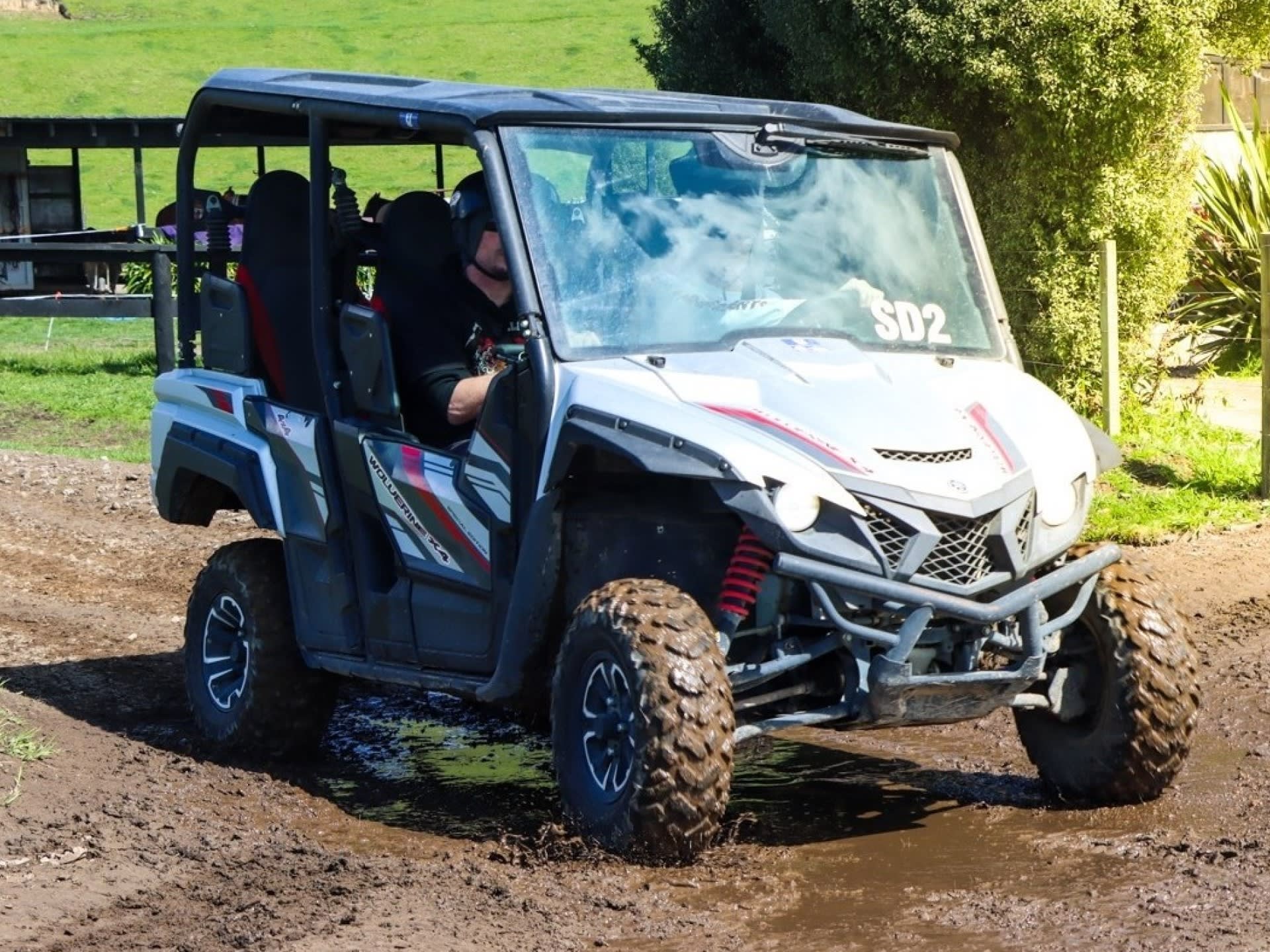 Adventure Playground Rotorua Experience