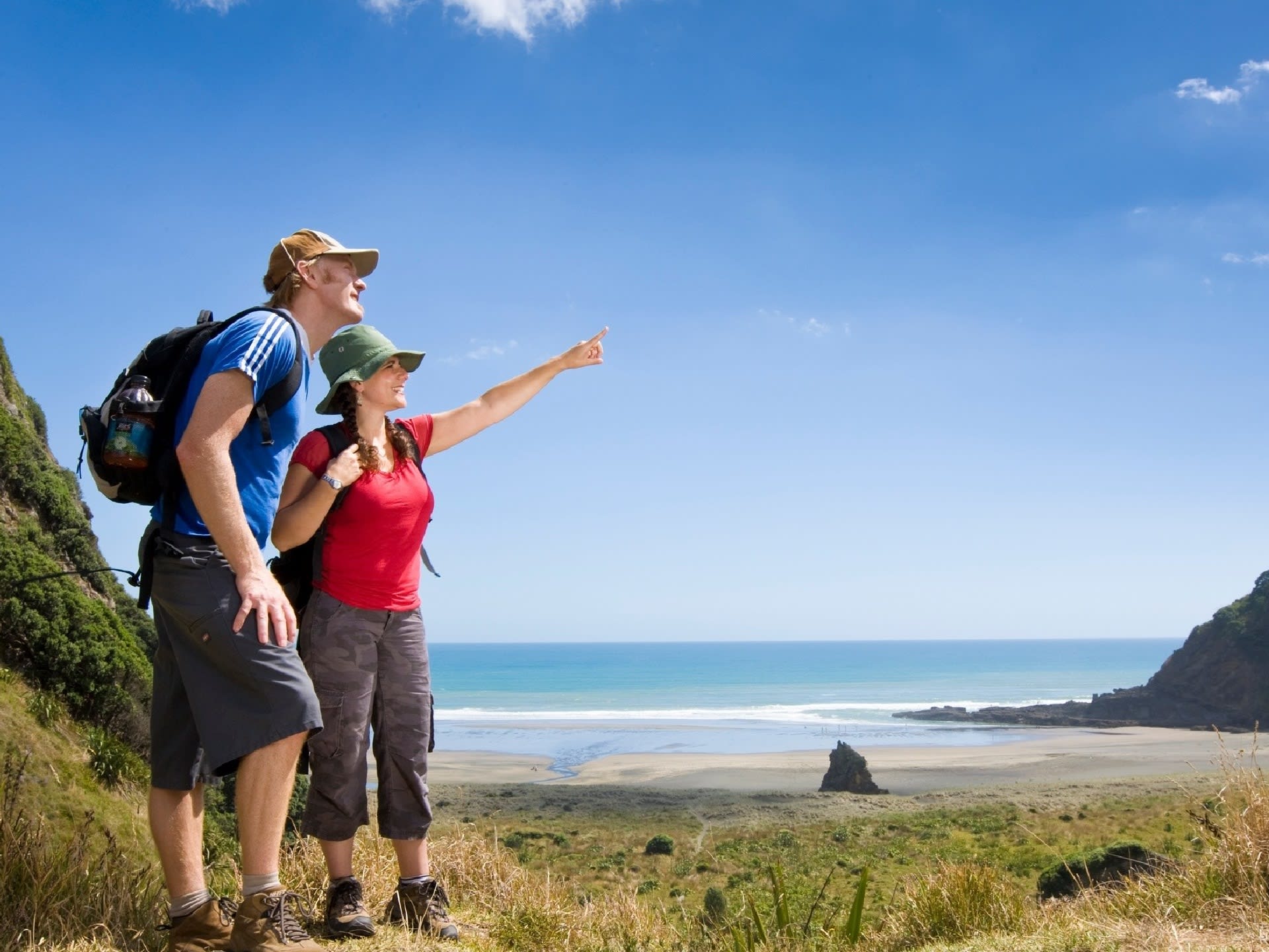 Private Auckland Tour including Airport Transfer