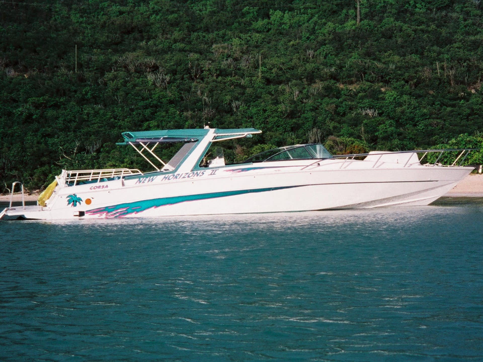 Snorkel St John Tour from Sapphire & Margaritaville