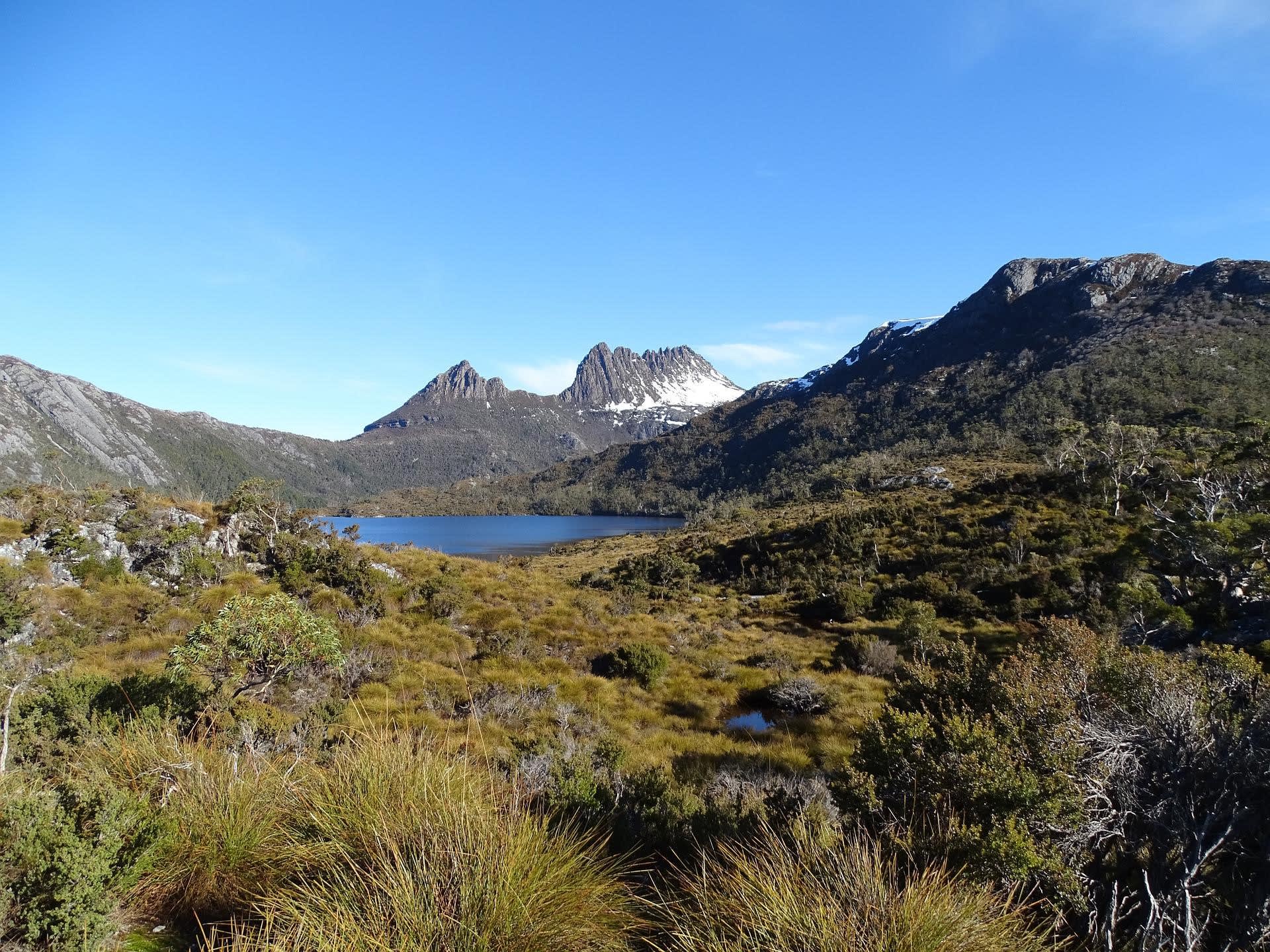 Launceston to Cradle Mountain Day Tour