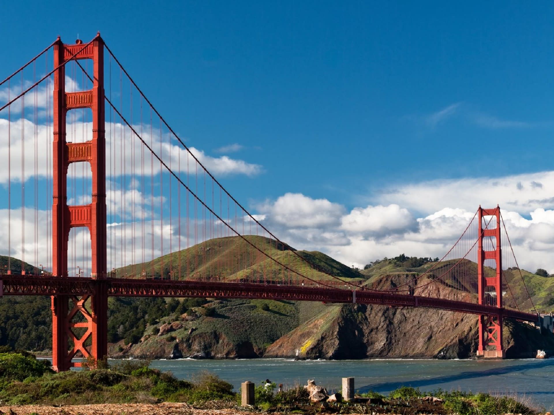 San Francisco Grand City Tour, Muir Woods & Sausalito