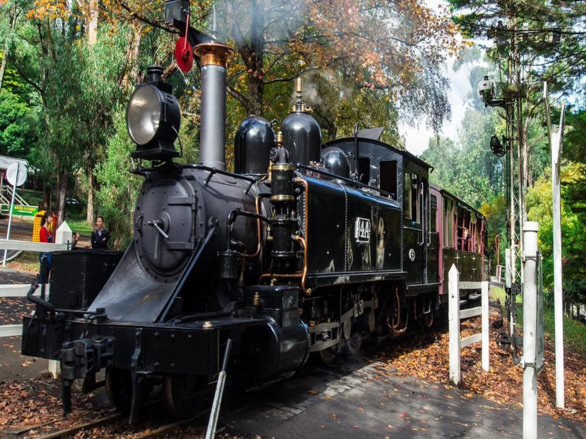 Puffing Billy and Healesville Sanctuary Bus Tour