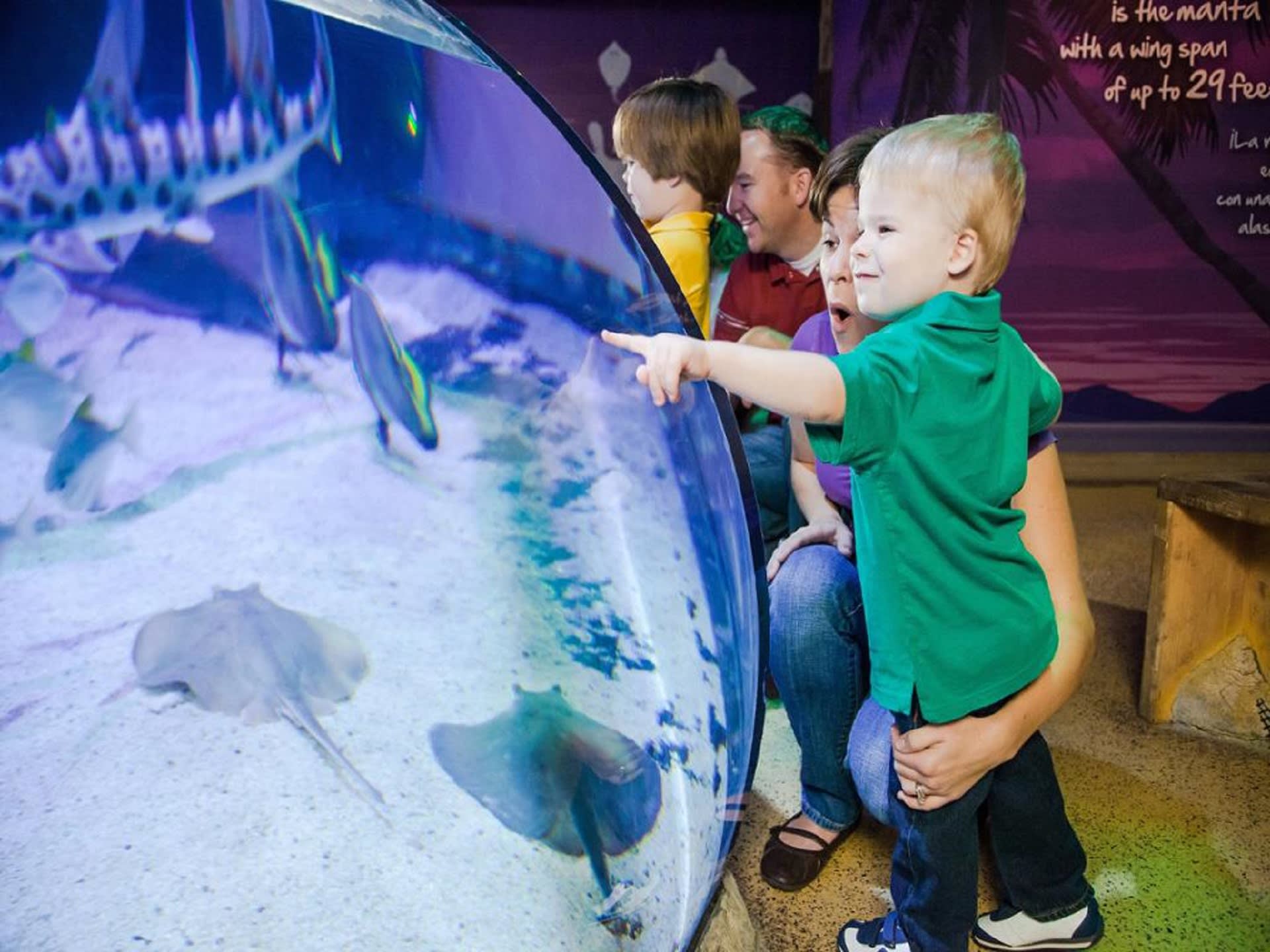 Sea Life Dallas