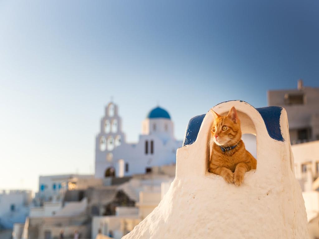 Santorini Lazy Day - Private Tour