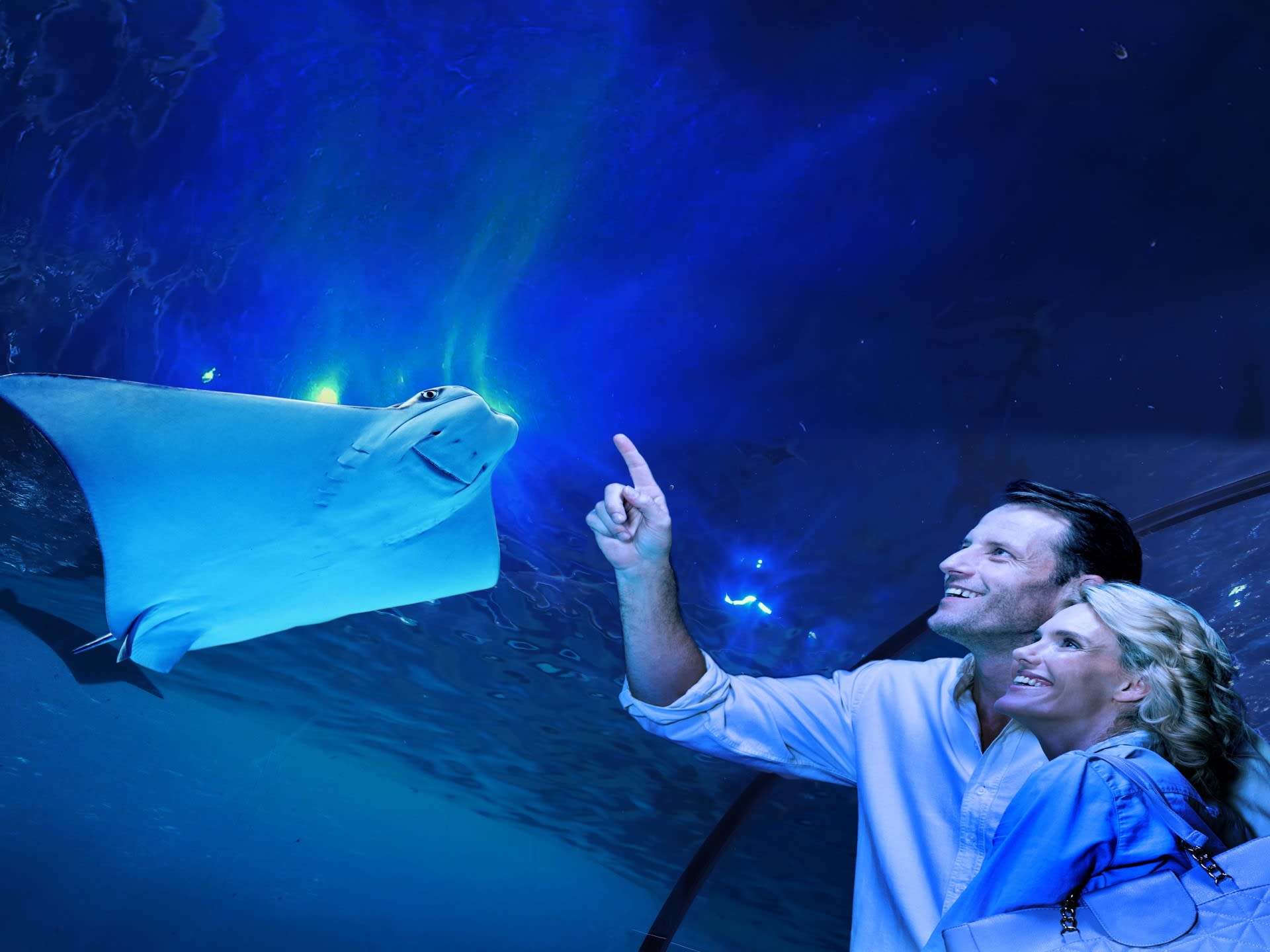 夜の水族館ツアー