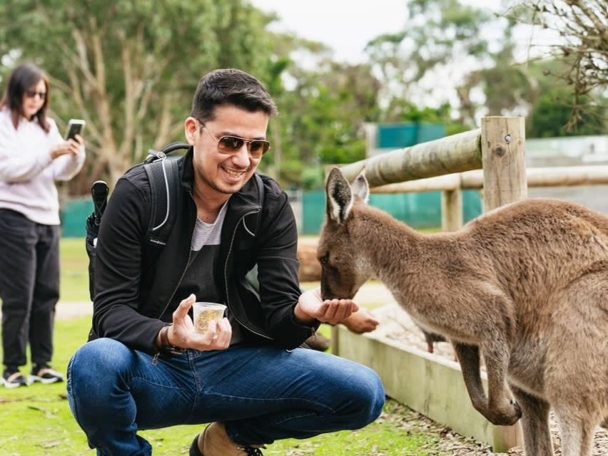 Go West Tours主催 フィリップ島 ペンギンパレード 少人数エコツアー