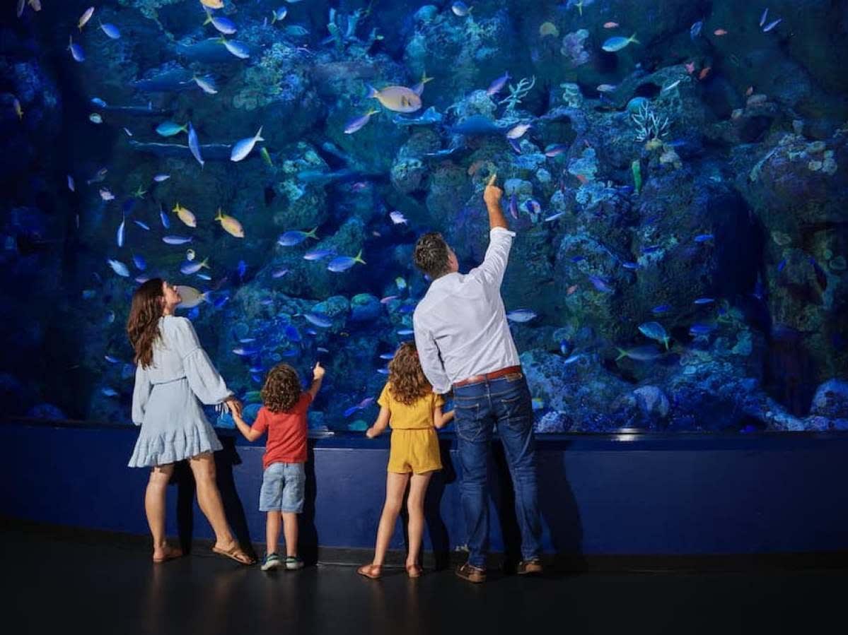 トワイライト水族館ツアー