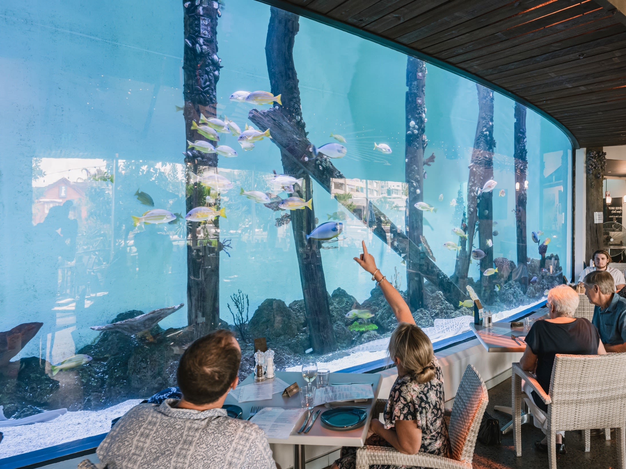 ケアンズ水族館 一般入場券