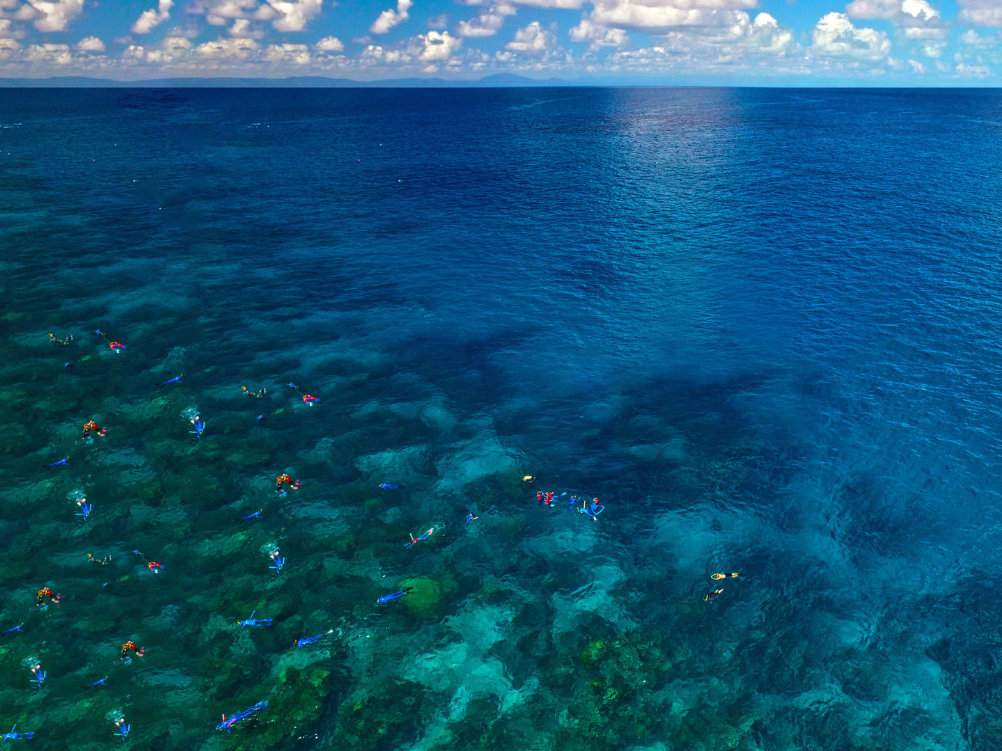 image 18(1).png